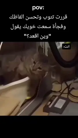 هههههههههههههههههههههههههههههههههههههههههههه #الشعب_الصيني_ماله_حل😂😂 #مالي_خلق_احط_هاشتاقات🧢 #اكسبلورexplore #مالي_خلق_احط_هاشتاقات 