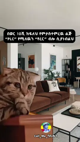 Just for fun😂#habeshatiktok #memes #viralvideos 