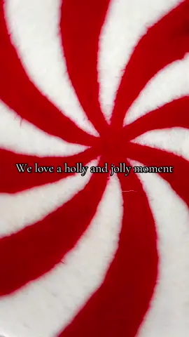 Need a holiday boost? Check out the Everything Kitchen’s TikTok shop to find amazing deals and everything you need for the holidays. #holidays #kitchen #decor #gifts #deals 