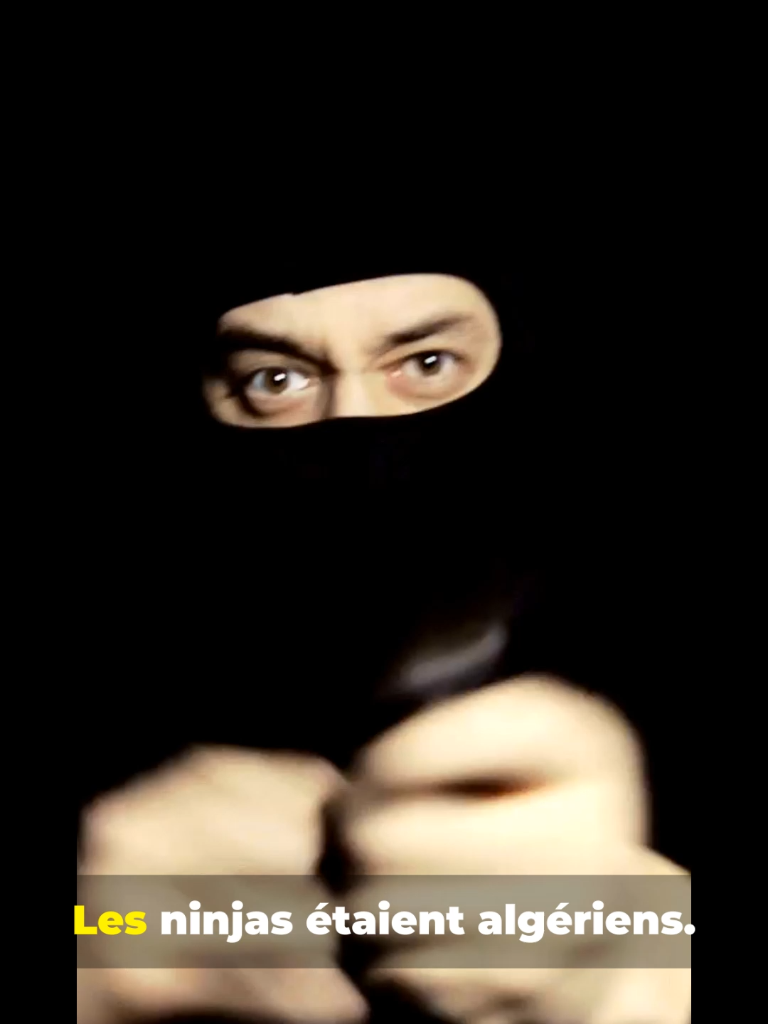 Les ninjas étaient algériens #al#algerie #arab #complot #pourtoi #IA #humour #africa #foryour