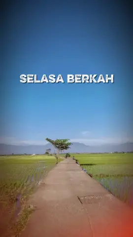 selasa berkah #CapCut #promomakanharian #fyp #capcutpioneer #pioneertemplate 