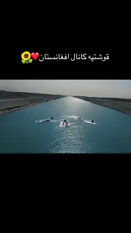 #creatorsearchinsights #4you #foryou #10millionadoptions #ROOM 