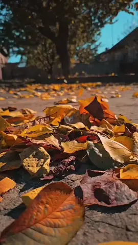 #keşfett #fyp #fypage #tik_tok #fypppppppppppppppppppppp 