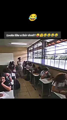 Looks like a fair deal!!😂🤗 #funny #viralvideo #foryou #fyp #laughing 