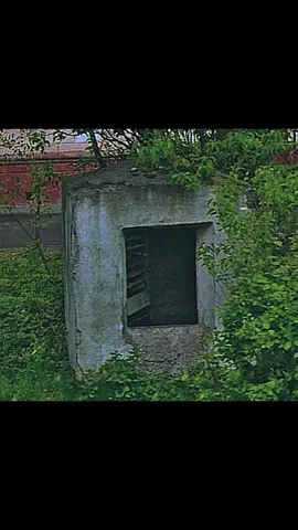 бос всех боянов и гнили на следующей недели  #бомбарь #вш #открытая #мдд #мдр #МДС #сздр #fyp #foryou 