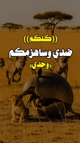 #اكسبلورexplore #لايك__explore___ #تصميم_فيديوهات🎶🎤🎬 #اكسبلور 