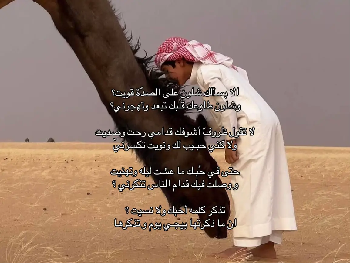 #foryou #s #سبايسي #مالي_خلق_احط_هاشتاقات🧢 #explore 