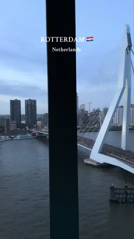 Nhow Hotel Rotterdam 🇳🇱  #rotterdam #views #hotel #travel #netherlands 