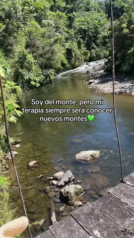 🦋💚 #fyp #naturaleza 