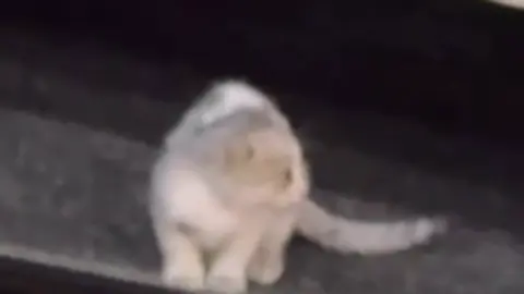 #الباحة #بلجرشي #قطو 