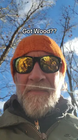 Got Wood! Lots of wood. We consume about 25 cords per year on the farm.