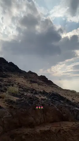 🌷.   #اكسبلور #viral #الديره 