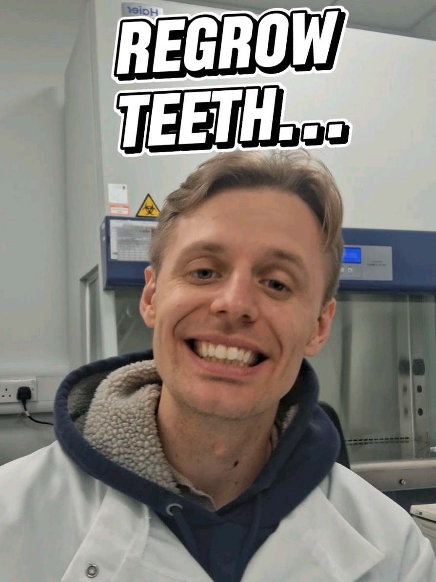 New gel helps teeth regrow... @olliethedentist  #enamel #regrowteeth 