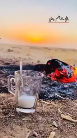 #مصر_العراق_السعودية_تونس_المغرب_الجزائر #الشعب_الصيني_ماله_حل #سوريا_تركيا_العراق_السعودية_الكويت_عمان #العراق_السعوديه_الاردن_الخليج 