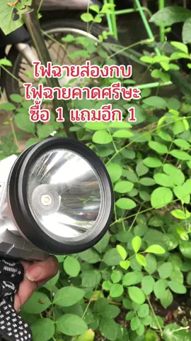 #ของใช้ในบ้าน #สินค้าขายดี #ของดีบอกต่อ #creatorsearchinsights #ไฟฉาย 