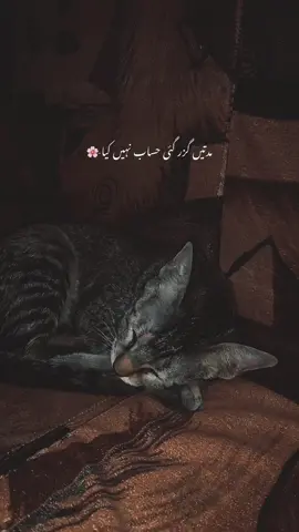 Na jane kiske dil mein kitna reh ghye hum-❤️‍🩹 | Paid Repost Avalaible • #urduadablines #urdushayari #viralvideo #viralvideo @TikTok 