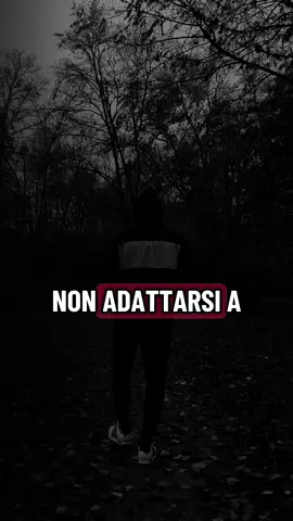 #forjandomimejorversion #gymmotovation #WarriorMindset #gymvida #mentalidaddeguerrero 