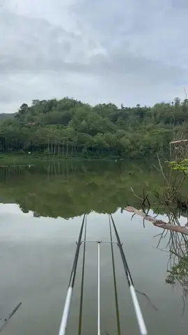 Spil hasil tadi pagi🎣#mancingmania #mancingliar #wadukbendoponorogo #ponorogo24jam #ngadirojo 