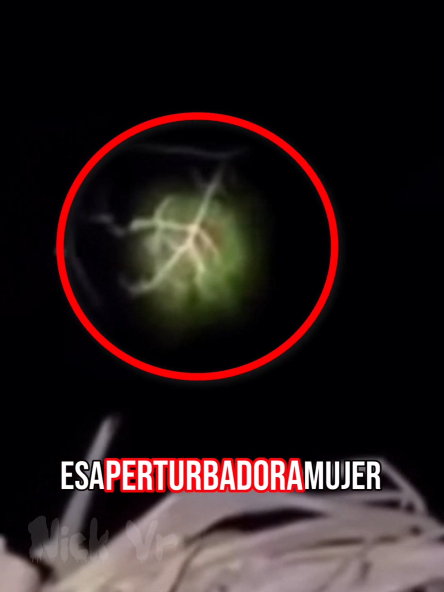 Re turbio ¿Qué harían ustedes? 💀 #nickvr #miedo #misterio