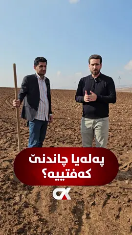 🔴 پەلەیا چاندنێ کەفتییە؟ ● شکێران زێباری ل گەل جۆتیارەکێ دەڤەرا ئاکرێ چوویە ناڤا زەڤیەکێ و ئەردی دکولن داکو بزانن ئاڤا بارانێ چەند چوویە خوارێ ب کێر چاندنا گەنمی دهێت یان نە.