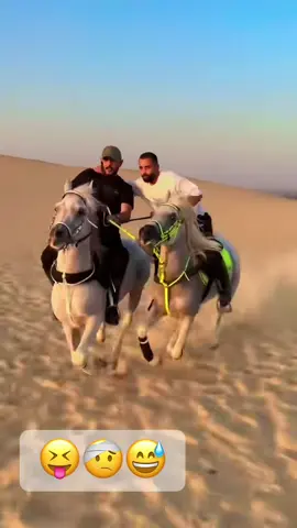 #خيل #خيل_عربي #خيل_وخياله🐎 #خيل_عربي_اصيل #خيل_عربي_اصيل🐎🐎 