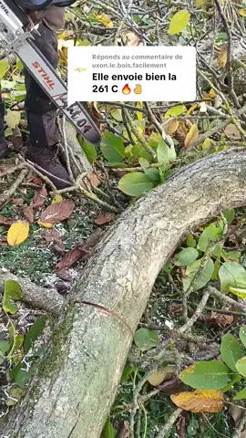 Réponse à @uxon.le.bois.facilement  + poid plume 💯 #stihl #ms261 #stihlchainsaw #chainsawman #bucheron  @Benj chasse @tioszalai 02 @STIHL USA 