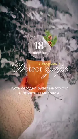 #доброеутро  #хорошегодня  #top 
