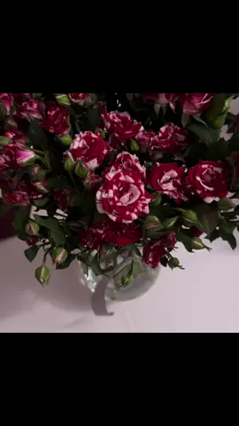 الهدايا ما تزين إلا إذا كانت من ناس غاليين 🤍