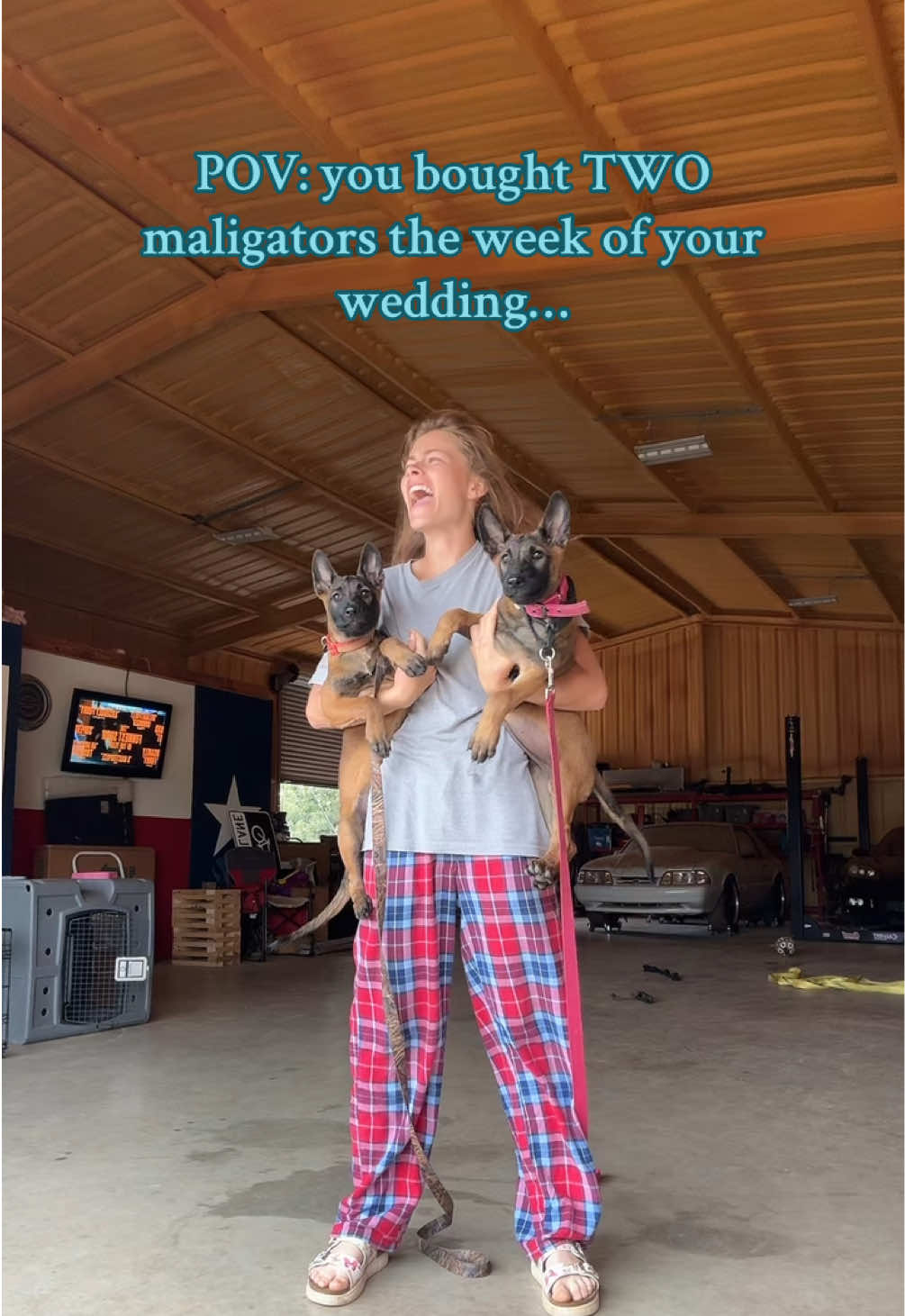 I regret nothing… #maligators #dogs #wedding #newlymarried #wifeproblems 