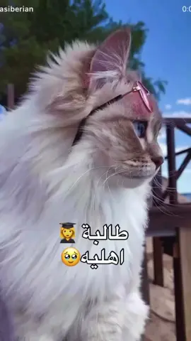 #جامعة #بابل 