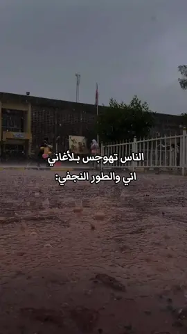 لاوحك🥹💔#الطور_النجفي_الاصيل #اللهم_صل_على_محمد_وآل_محمد #هادي_مريطي 