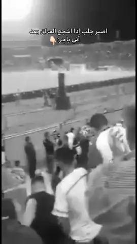 🤍🤍🤍 #اكسبلور #المنتخب_العراقي #اسود_الرافدين 