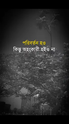 🛑:পরিবর্তন হও কিন্তূ অহংকারী.)🩵 •─────Amin─────•