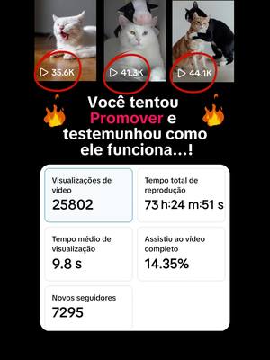 Promova seu TikTok hoje!