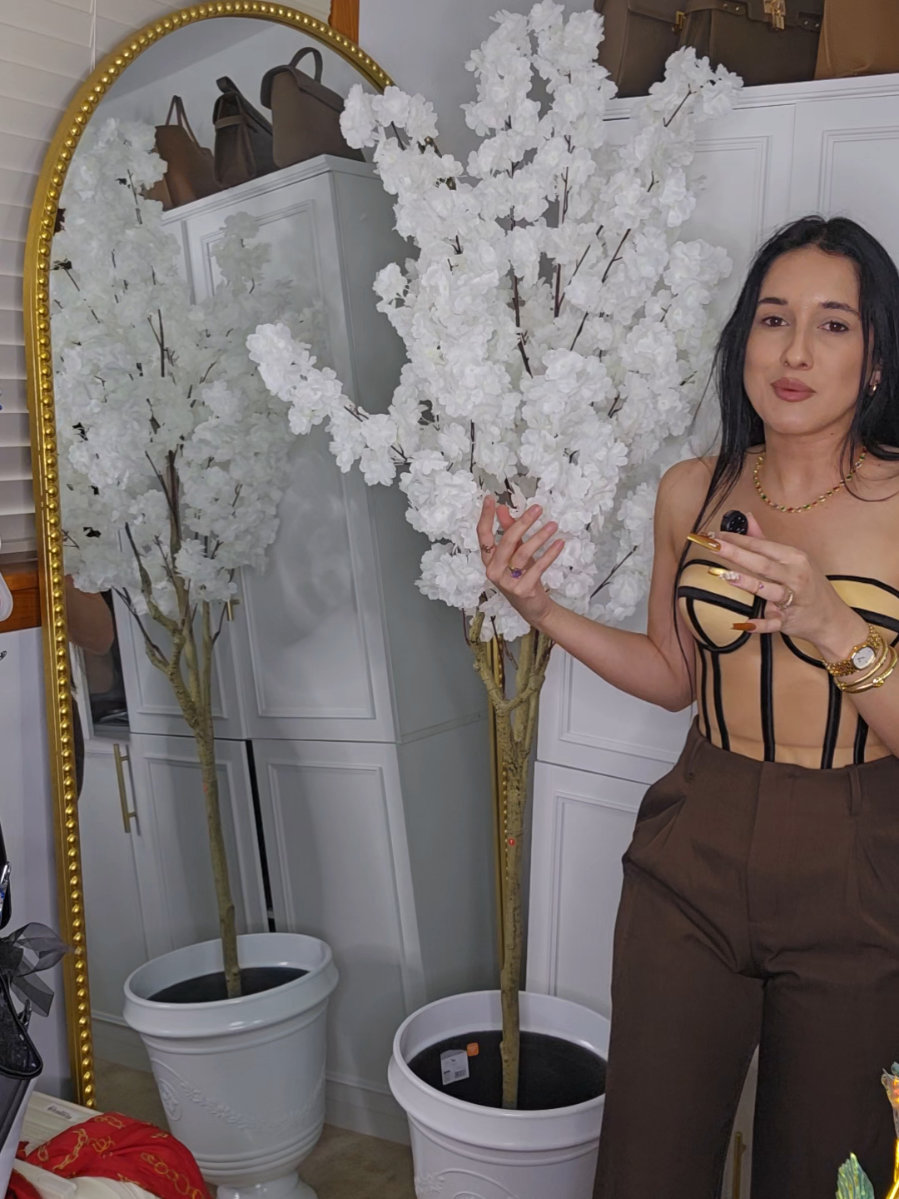 Respuesta a @lachapinsitanova 