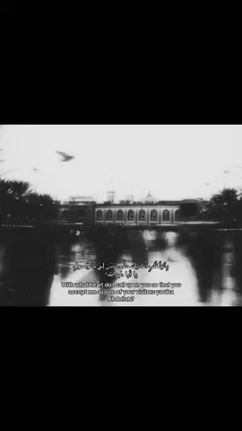 #شيعه_الامام_علي_عليه_السلام #كربلاء #fypシ #fyp #viral 