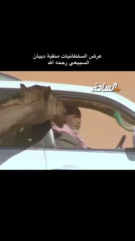 #تيك_توك_السعودية #دبيان_السبيعي #منقيات #نفود_السر #رماح_سبيع 