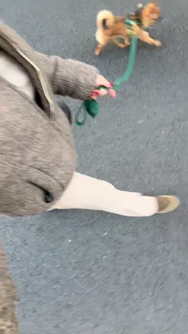 best walks in my neighbourhood this time of year 🤎 #london 