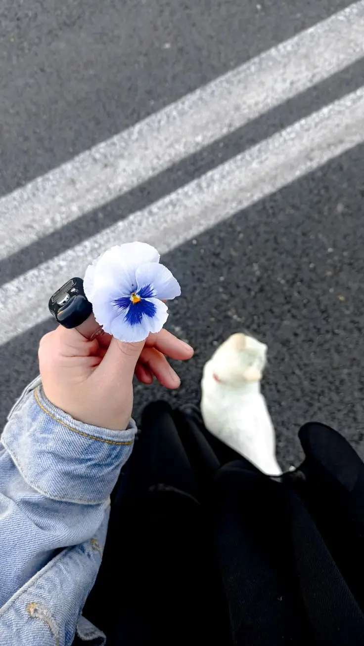 صور للبروفايل💙 ✨