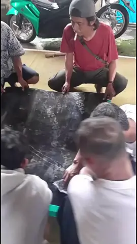 Edisi perbaikan lapangan karambol  #fyp 