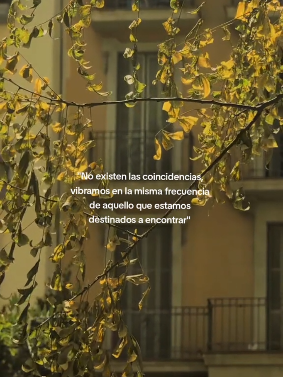 #paratiiiiiiiiiiiiiiiiiiiiiiiiiiiiiii #ParaTi #forupage #forupage 