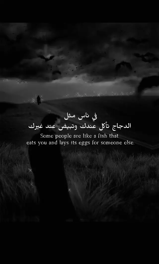 #مجرد_ذووقツ🖤🎼 #مجرد________ذووووووق🎶🎵💞 #اكسبلورexplore #اكسبلور #امريكا 