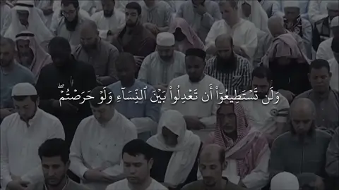 تلاوة حجازية بديعة لغريد المدينة الشيخ #عبدالله_القرافي #سورة_النساء #tilawat #foryou #fyp 