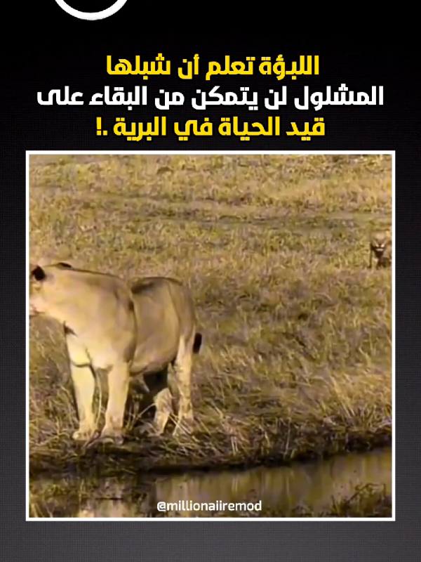 #explore #مقطع مؤسف 😞