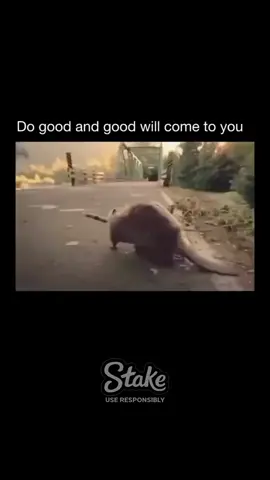 Deep Truths On Psychology & Life #psychology #psychologyfacts #fyp #fyp #foryoupageofficiall 