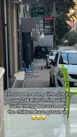 ‏من زمان ما ناديت على زكريا هيك هلا علشان ولاده  كبروا صار في نشاط 😂😂 نابلس فلسطين 🇵🇸 Donate to feed stray cats  https://www.gofundme.com/f/help-the-street-cats-of-palestine