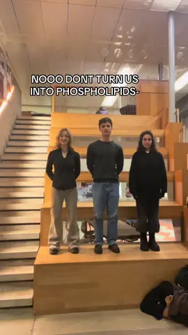 HAHAHA in honor of our bio midterm 🧬🧬🧬 #biology #phospholipids #midterm #universitycollegemaastricht 