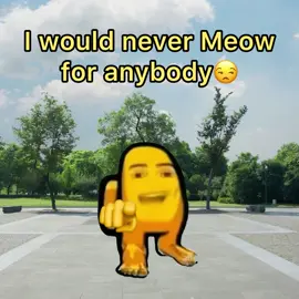 I am a man, I don’t Meow😩 @Omega 🍋Lemon🍋 @feliz_navidad_kim @Omega zazu cat 