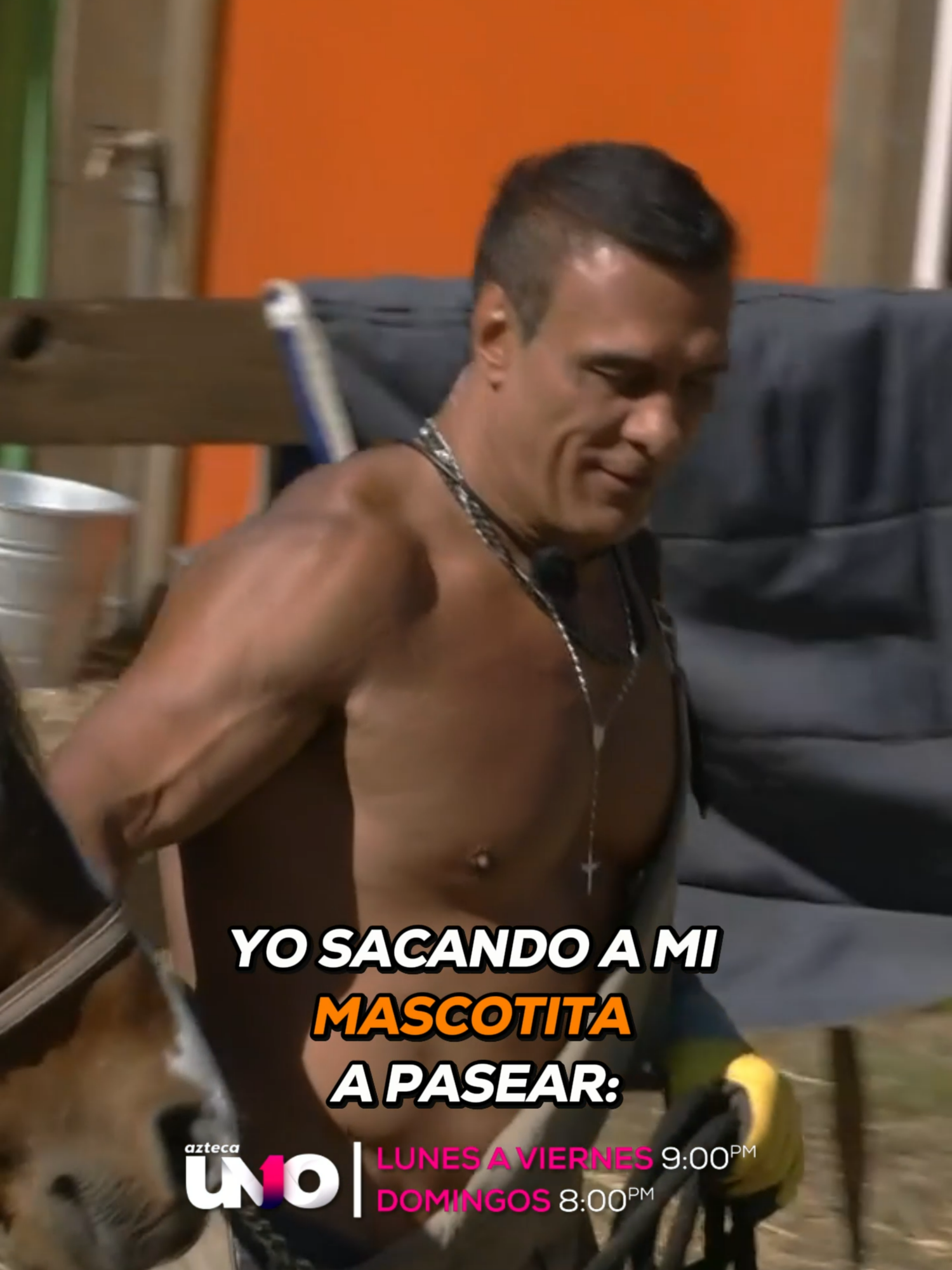 En #LaGranjaVIP no hay tareas fáciles, así le fue a #ElPatrón esta mañana con #ElCanelo. Lunes a viernes 9:00 p.m. por Azteca UNO⁣⁣⁣⁣⁣⁣⁣ Domingo La Gala 8:00 p.m. por Azteca UNO⁣⁣⁣⁣⁣⁣⁣ ⁣⁣⁣⁣⁣⁣⁣#LaGranjaVIP 🌾 Transmisión 24/7 en #DisneyPlus, vive la experiencia completa.