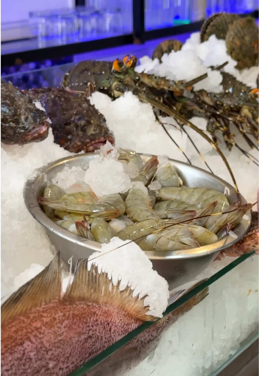 En A TU CASA la experiencia empieza antes de cocinar 🧑‍🍳. Cuando la pecera está lista, nuestros clientes eligen el pescado 🐟 que quieren disfrutar. Esta dinámica saca lo mejor de nuestra cocina: frescura, técnica y sabor auténtico. A todos les encanta vivir el proceso y saborear un pescado elegido por ellos mismos 🤩. 📍 Visítanos en Simón Bolívar 415, Chiclayo #atucasachiclayo #comidamarina #chiclayo 